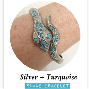 Turquoise Snake Adjustable Bracelet